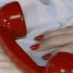 Meet your Posher, Marley